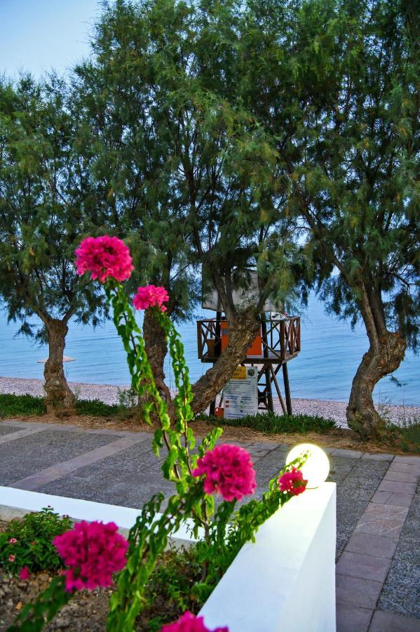 Aliki Studios Paralia Agias Foteinis Esterno foto
