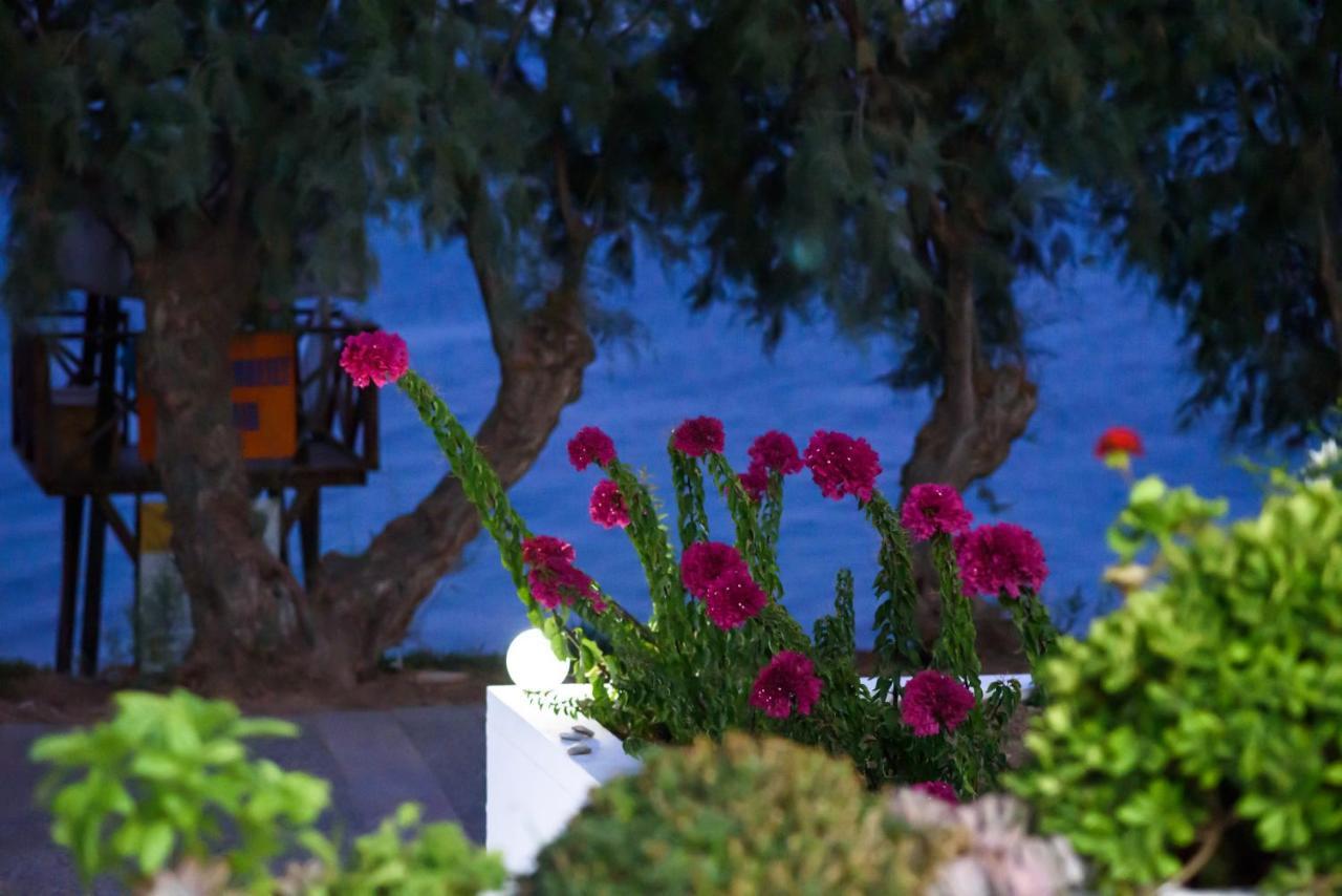 Aliki Studios Paralia Agias Foteinis Esterno foto
